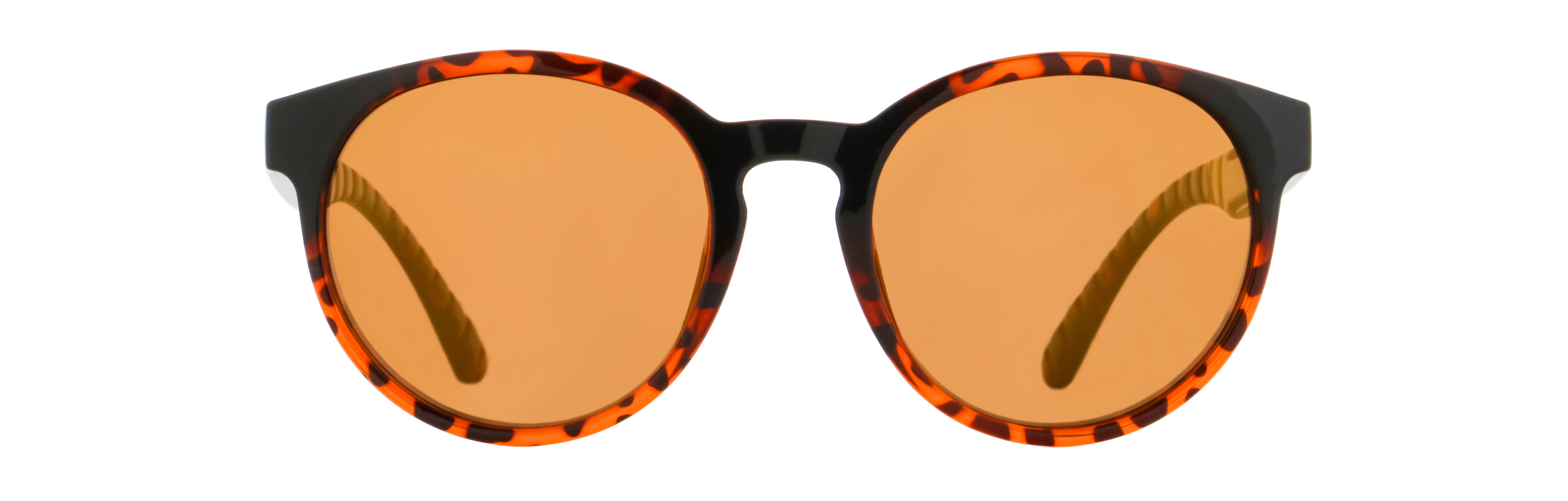 Picture of EVER-004P