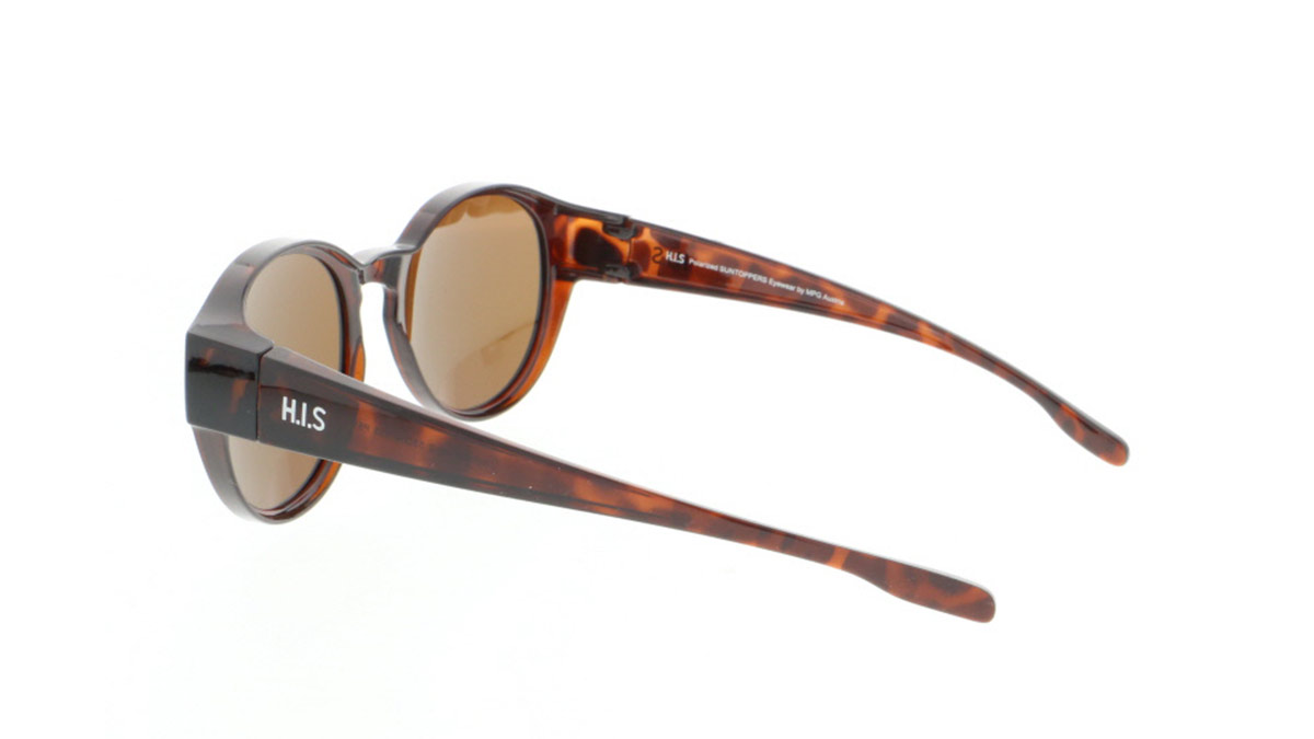 Picture of HPS09100-2