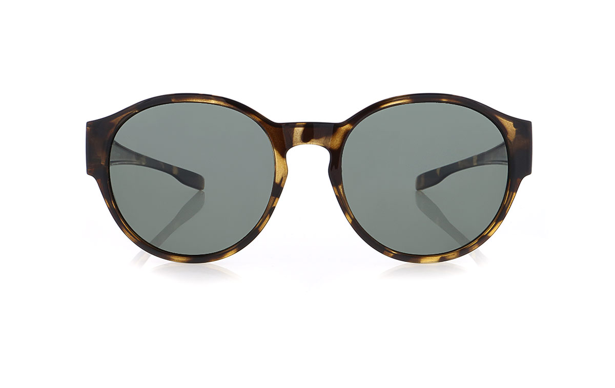 Picture of HPS09100-6