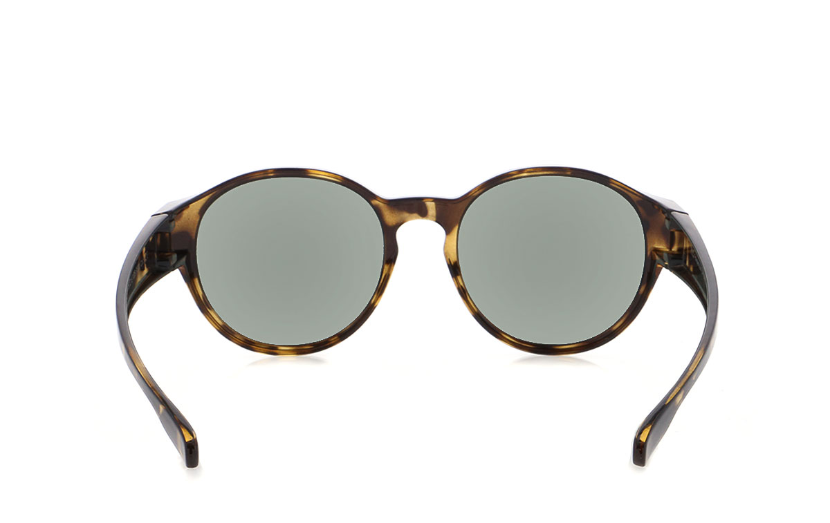 Picture of HPS09100-6