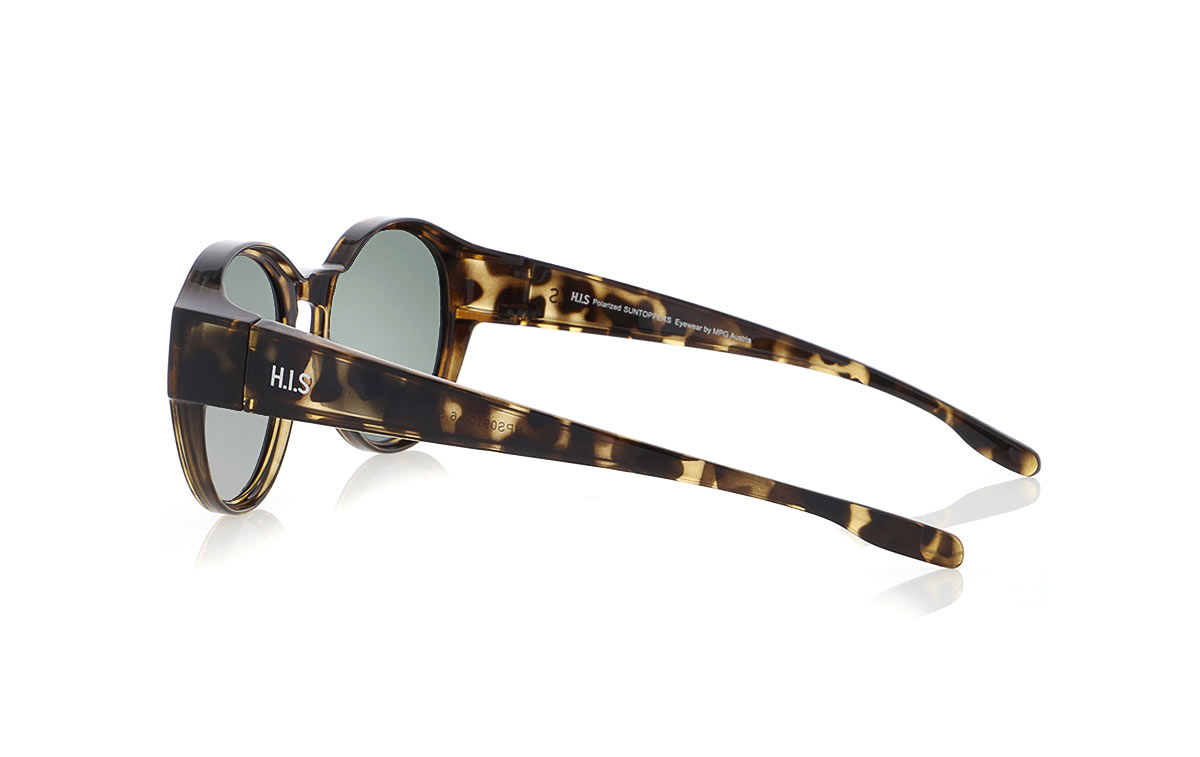 Picture of HPS09100-6